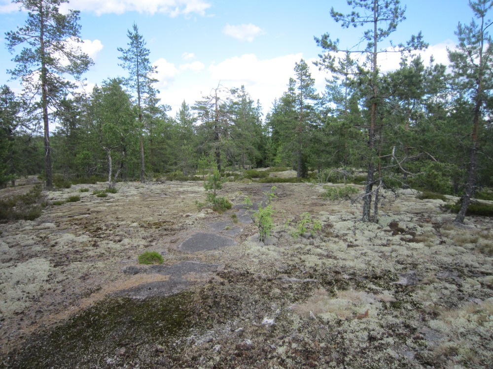 ...tuonne polku menee.