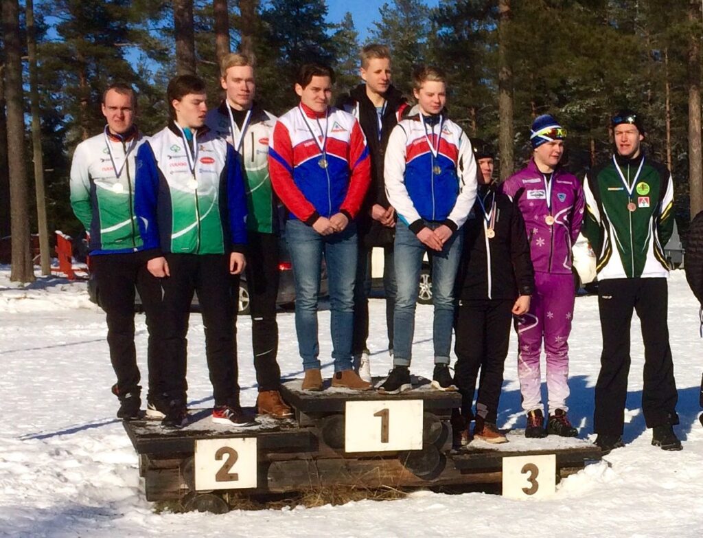 2017-hisuviestikulta.jpg