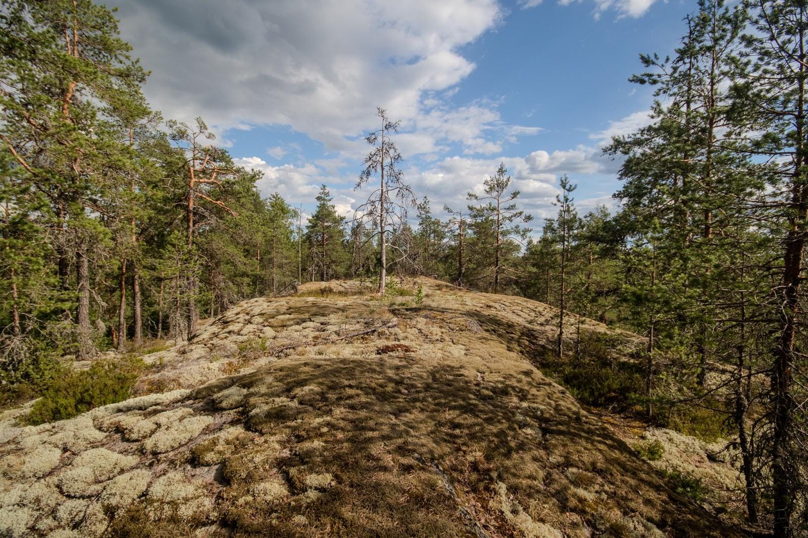 lahti-suunnistuksen-l-ht-ajat-ja-kilpailuohjeet-julkaistu-lahden