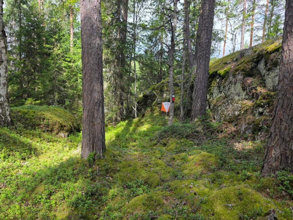 Tuohijärvi iltarastit 2026-08-11