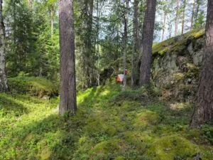 Tuohijärvi iltarastit 2026-08-11