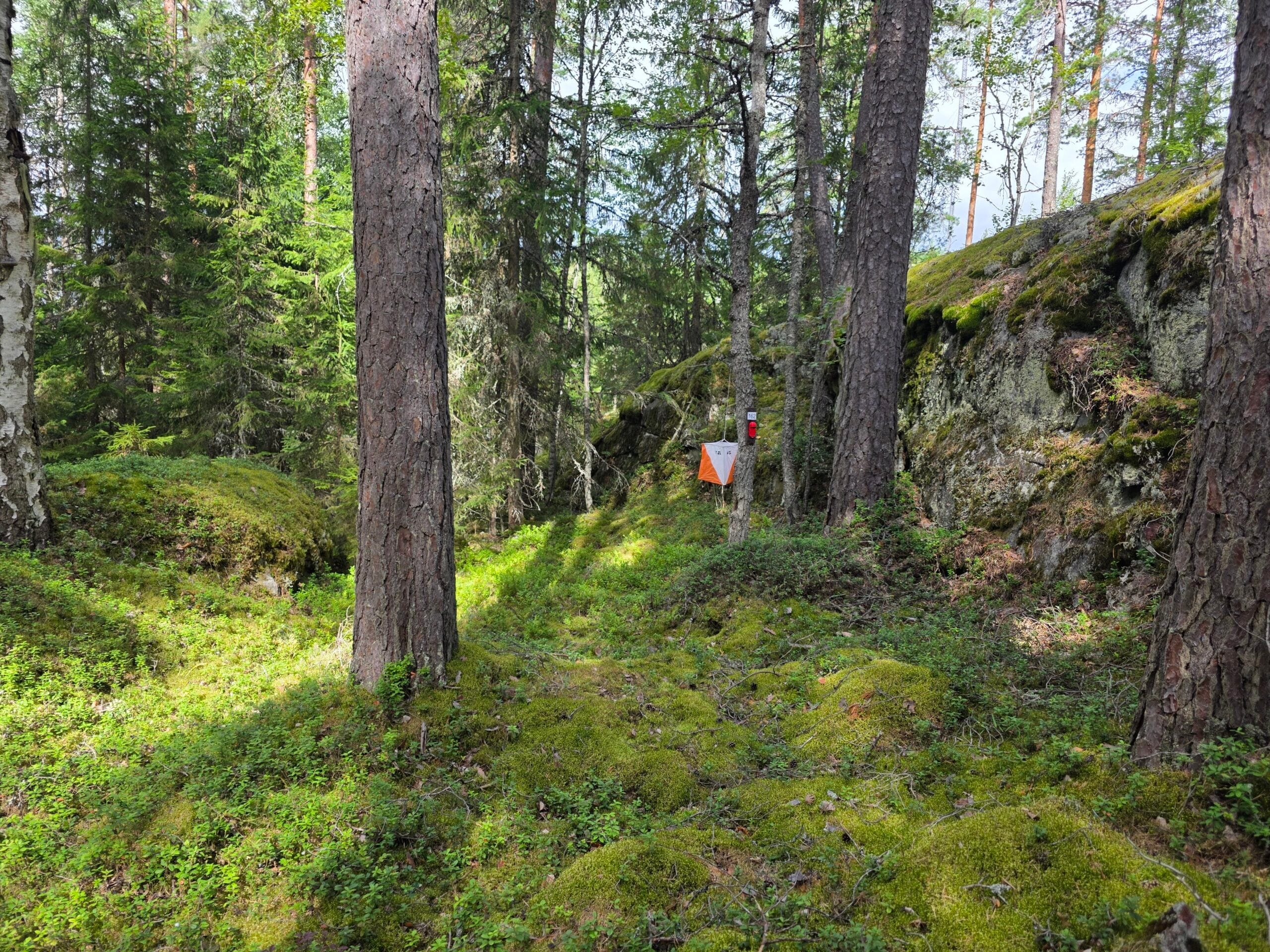 Tuohijärvi iltarastit 2026-08-11